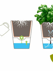Load image into Gallery viewer, system- Self-watering - Emsa