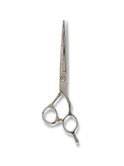 Load image into Gallery viewer, Kashi K-10E Professional Hair Cutting Shears , Silver Titanium Steel 6.5 inch