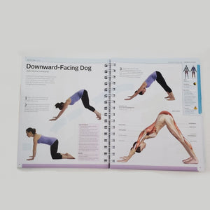 Pro Active Yoga, the trainer's guide to your home workout. Paperbook