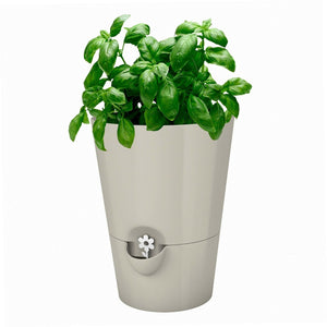 Fresh Herb Pot - Self-watering - Emsa