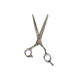 Load image into Gallery viewer, Kashi K-10E  Professional Hair Cutting Shears , Silver Titanium Steel 6.5 inch
