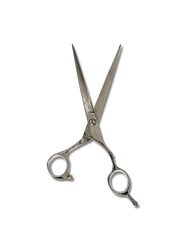 Load image into Gallery viewer, Kashi K-10E  Professional Hair Cutting Shears , Silver Titanium Steel 6.5 inch
