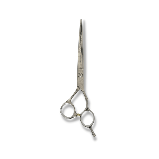 Kashi K-10E  Professional Hair Cutting Shears , Silver Titanium Steel 6.5 inch