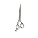 Load image into Gallery viewer, Kashi K-10E  Professional Hair Cutting Shears , Silver Titanium Steel 6.5 inch

