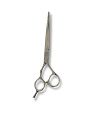 Load image into Gallery viewer, Kashi K-10E  Professional Hair Cutting Shears , Silver Titanium Steel 6.5 inch
