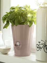 Load image into Gallery viewer, Fresh Herb Pot - Self-watering - Emsa
