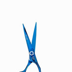 Load image into Gallery viewer, Kashi BL-1160 Professional Shears, Hair Cutting  Japanese  Steel,  6 inch Blue Color
