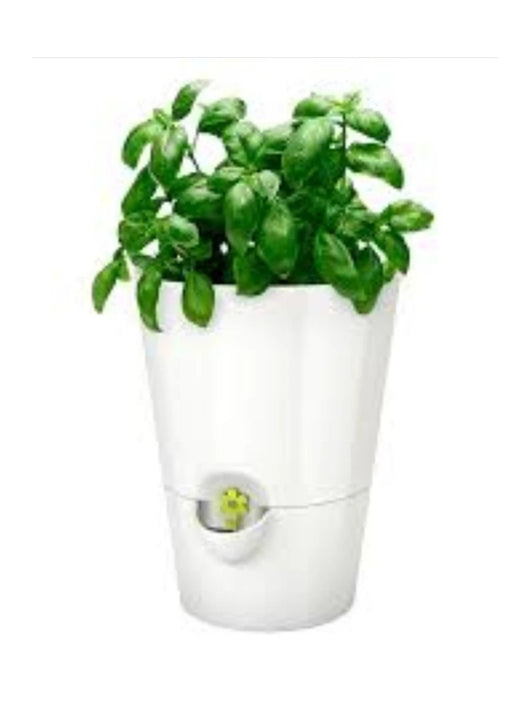Fresh Herb Pot - Self-watering - white color