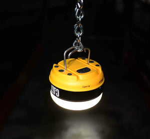 Micro Utility light , 150 lumens, Flashlight,  CT6520 3AAA Batteries Included